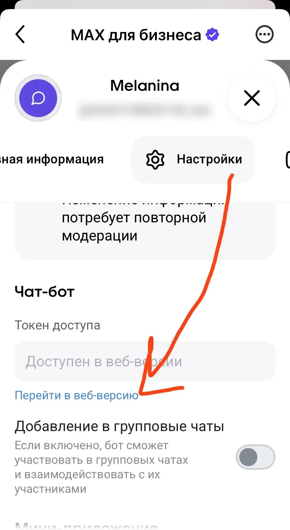 Настройки бота в мобильной версии: поле токена с надписью Доступен в веб-версии и ссылка Перейти в веб-версию